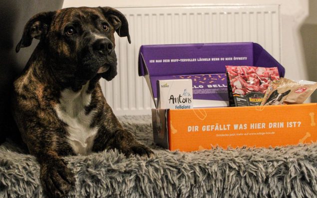 Testbericht edogs Überraschunsgboxen