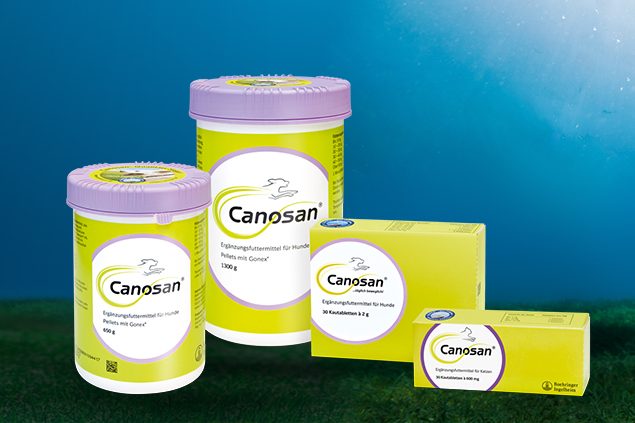 Canosan für Hunde und Katzen