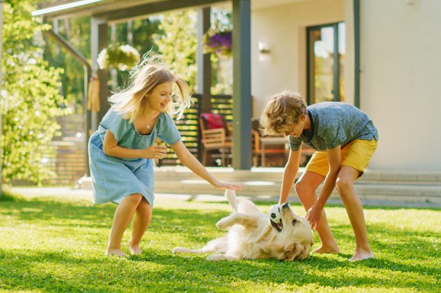 Spielen mit Hund und Katze