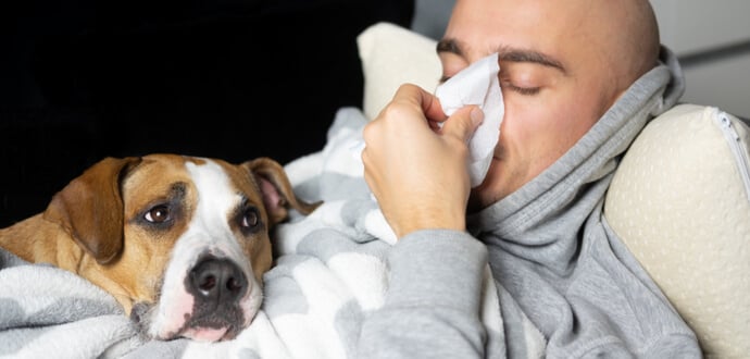 Man reagiert allergisch auf einen Hund