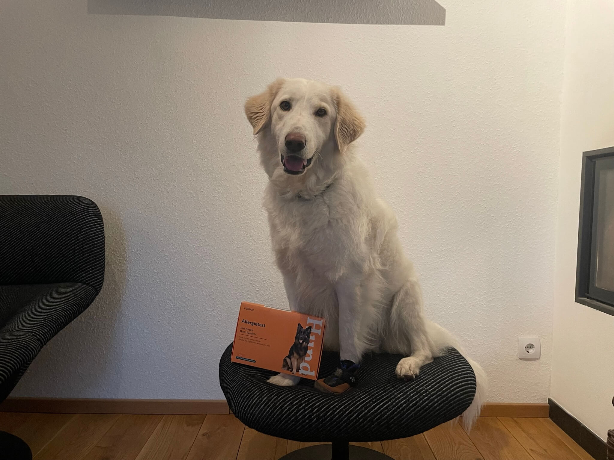 vetevo_allergietest_testbericht