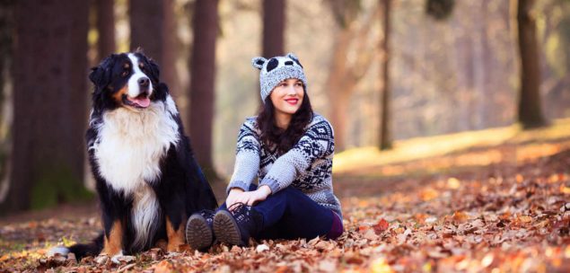 Berner Sennenhund mit Besitzerin im Wald