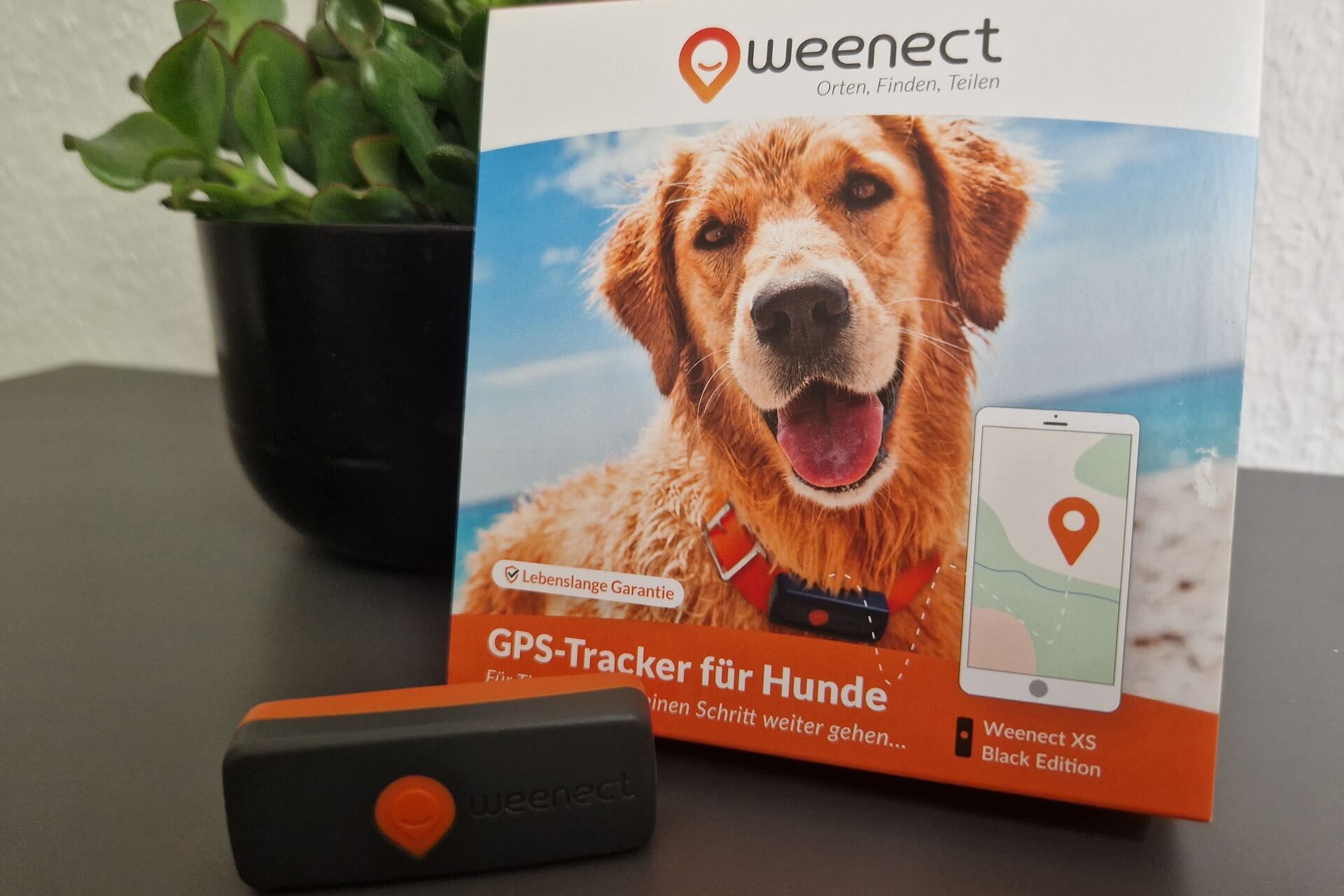 Testbericht: Weenect XS GPS Tracker für Hunde