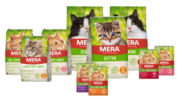 Kostenloses Katzenfutter von Mera