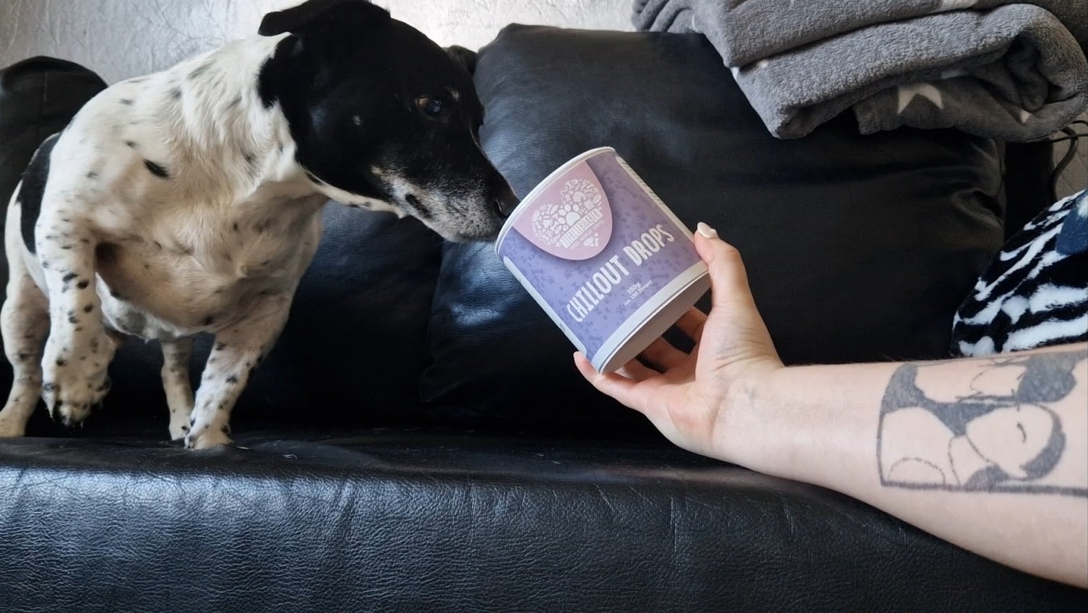 Testbericht: Chillout Drops