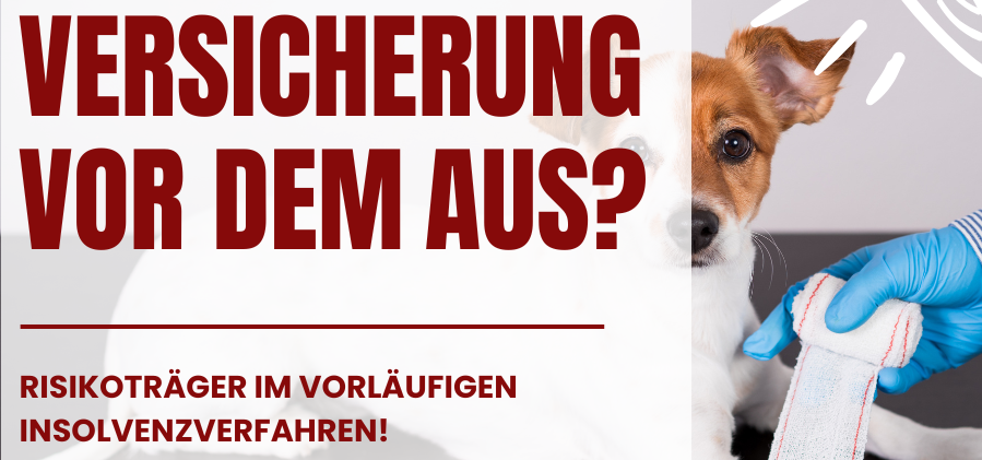 Panda Tierversicherung auf der Kippe: Was das für dich und dein Haustier bedeutet