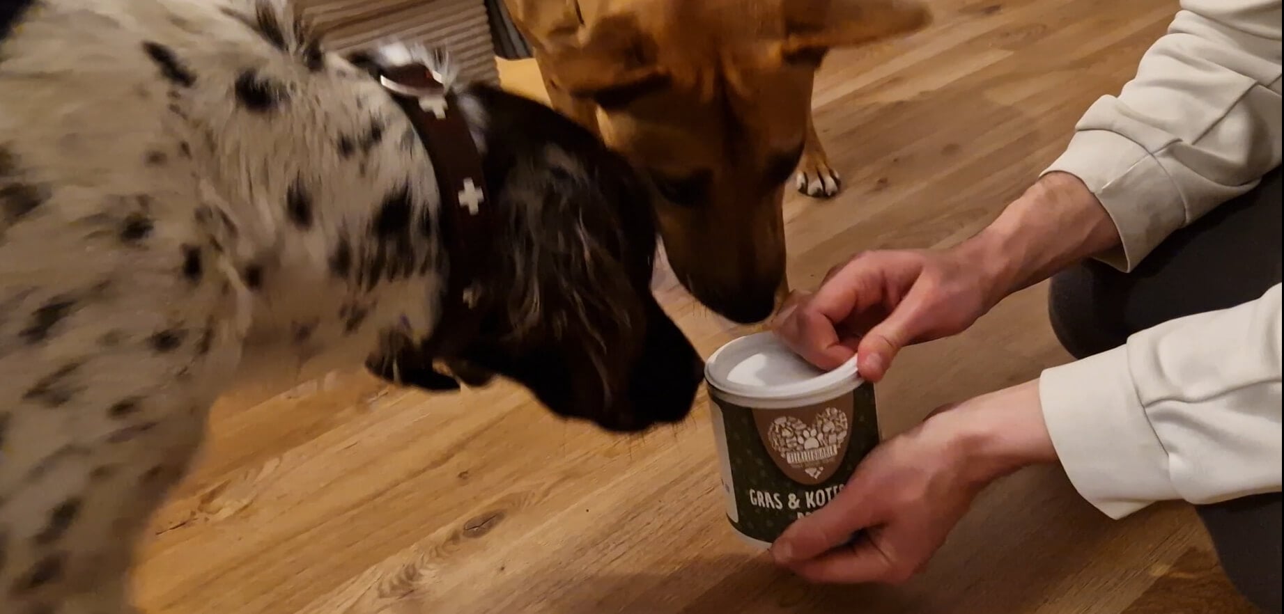 Testbericht: Gras- & Kotfresser Drops von Tierliebhaber