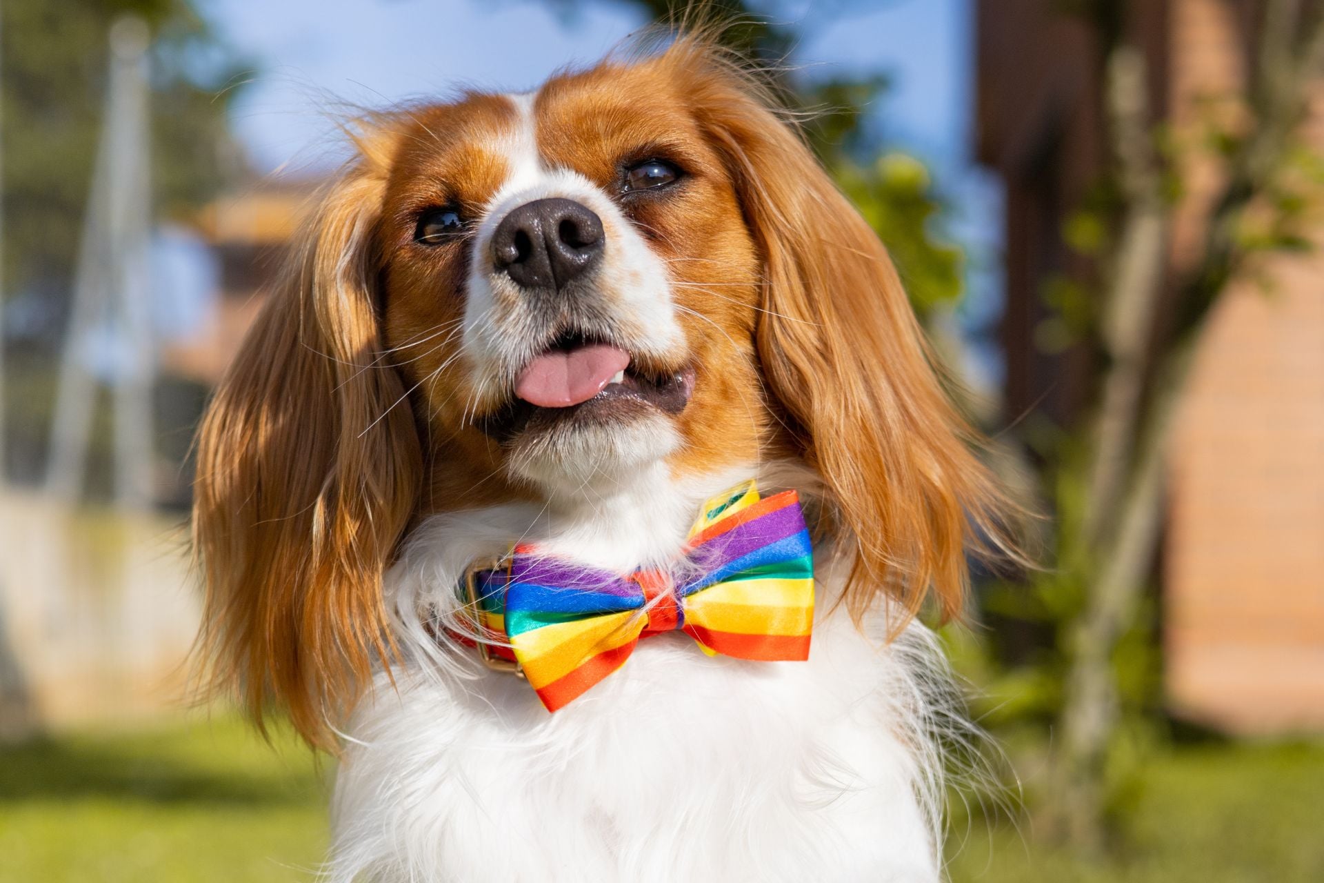 Neue Betrugsmaschen in der Welt der Online-Unterhaltung im Jahr 2025