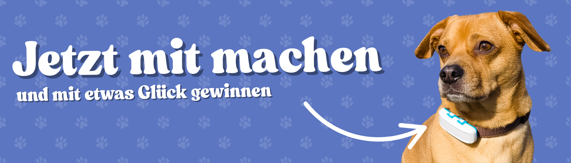 Gewinnspiel